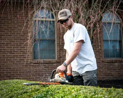 landscape clean up solutions in richmond ky