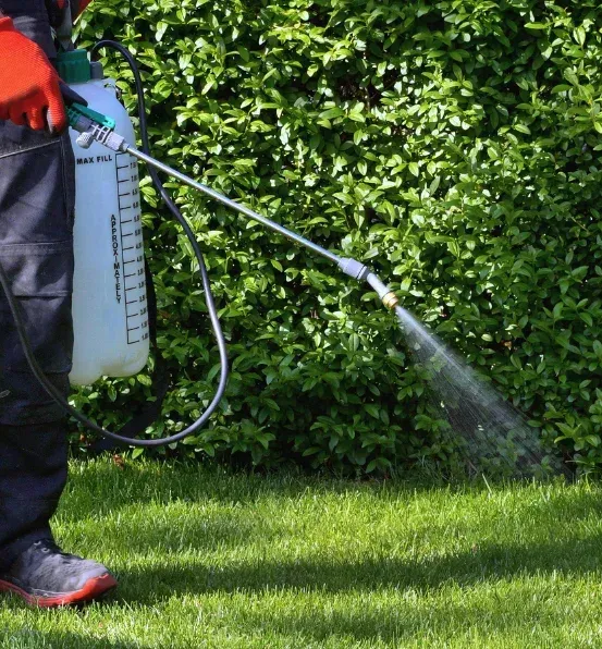 lawn fertilization and lawn weed control in richmond ky