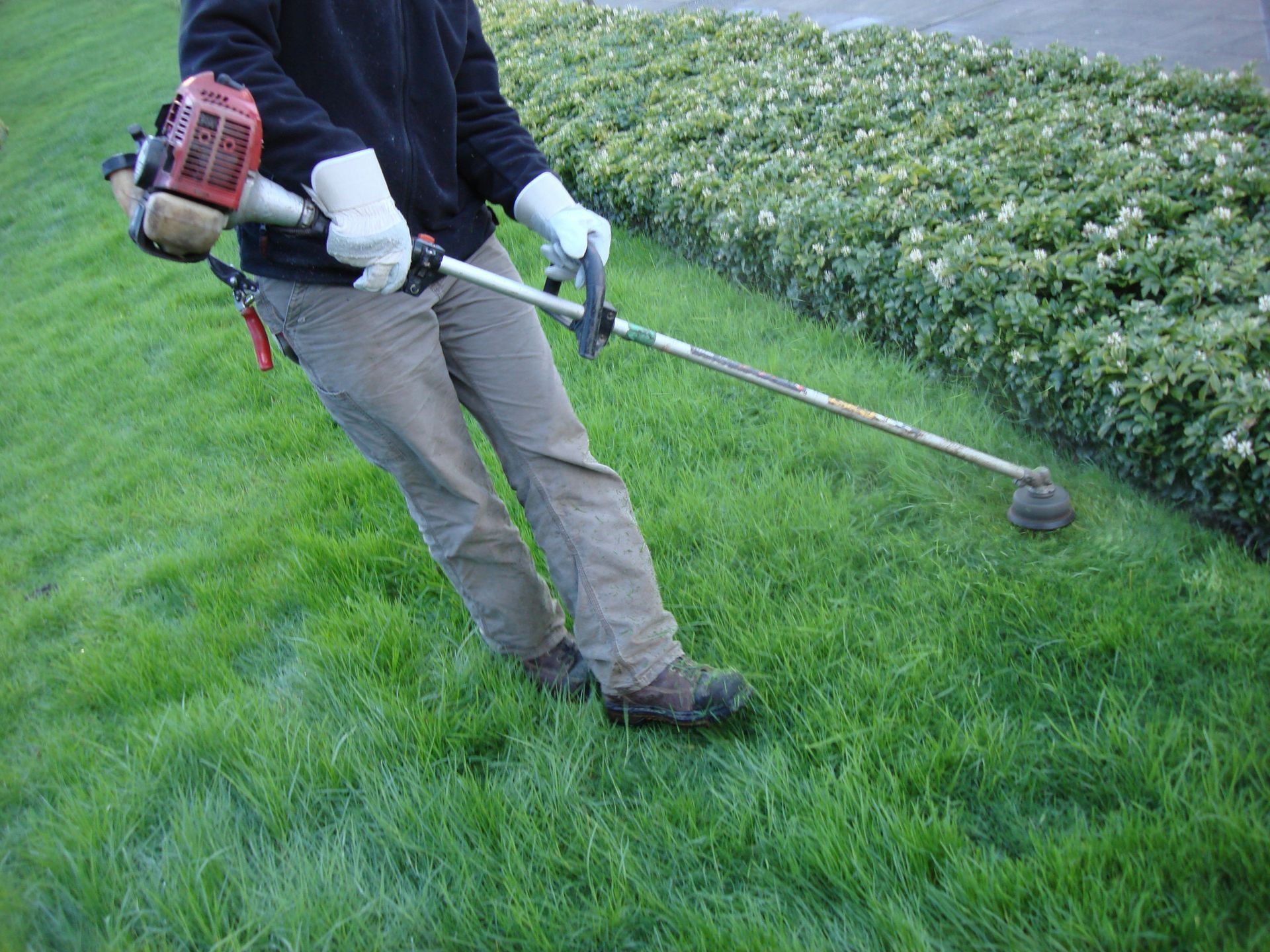 lawn fertilization and weed control in richmond ky