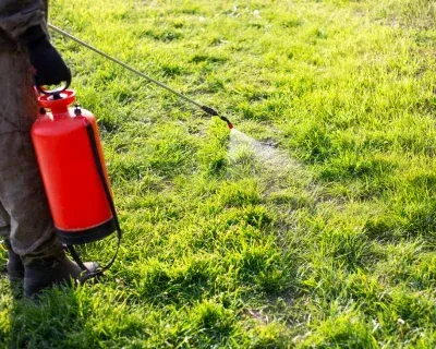 lawn fertilization and weed control applications in richmond ky