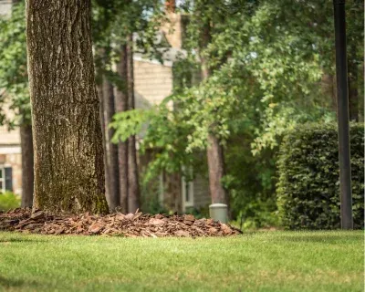 lawn overseeding in richmond ky