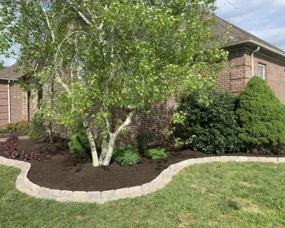 mulch replacement in richmond ky