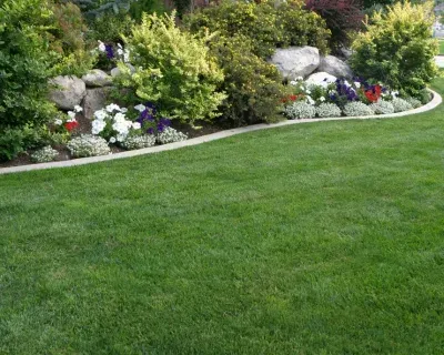 nutsedge control treatments in richmond ky