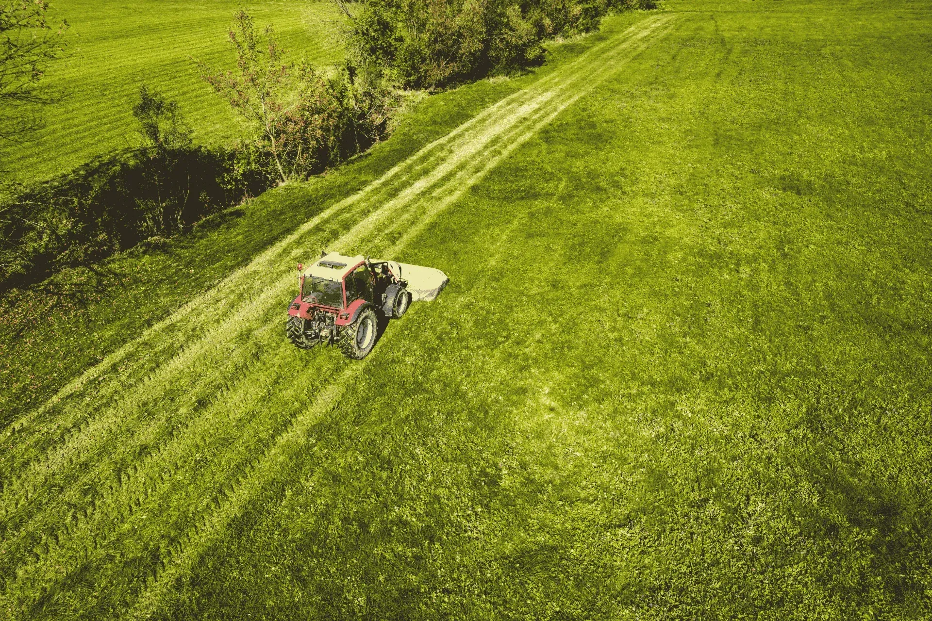 pasture paddock mowing in lexington ky