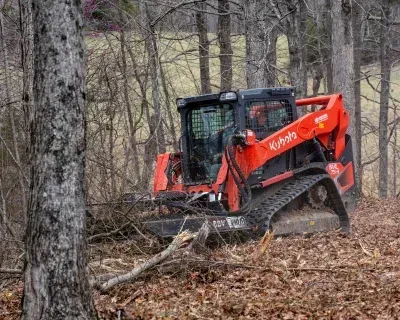 professional land clearing richmond ky
