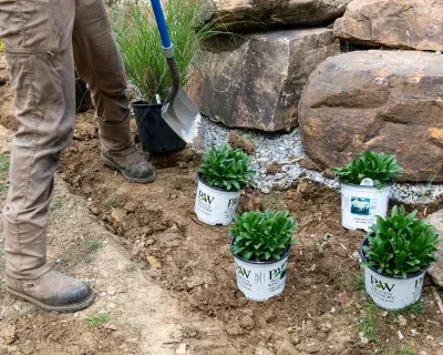 seasonal flower planting experts in richmond ky