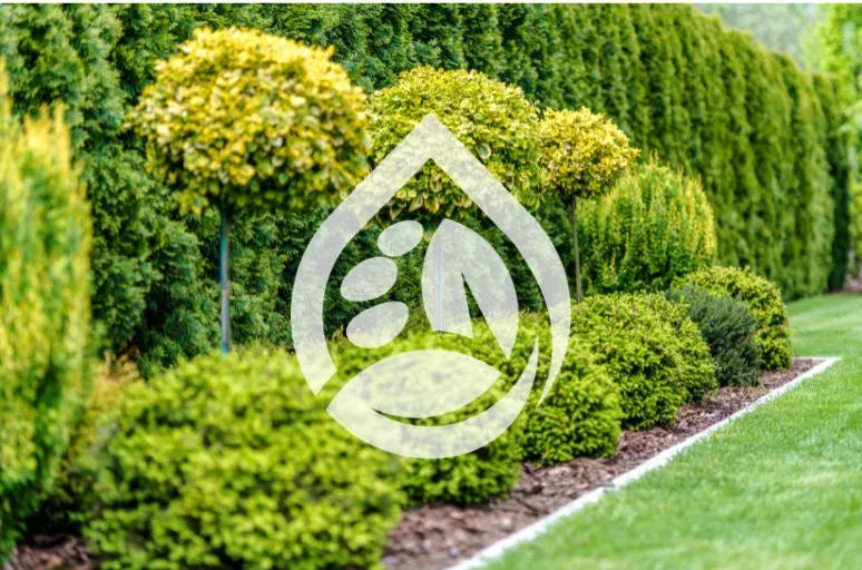 shrub fertilization service in richmond ky
