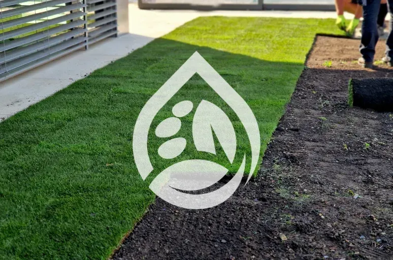 sod installation services in richmond ky