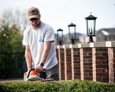 spring yard cleanup in richmond ky