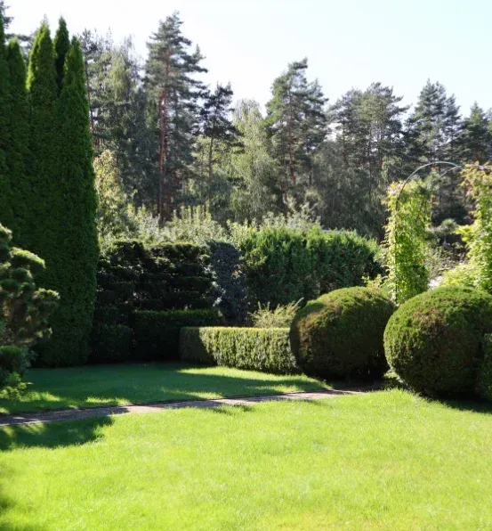 tree and shrub fertilization in richmond ky