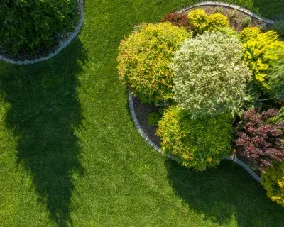 tree services in richmond ky