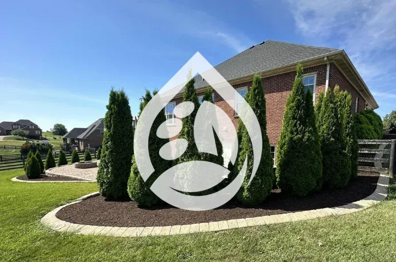 tree installation approach in richmond ky