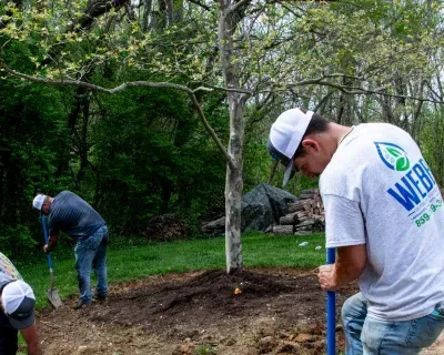 tree installation services in richmond ky