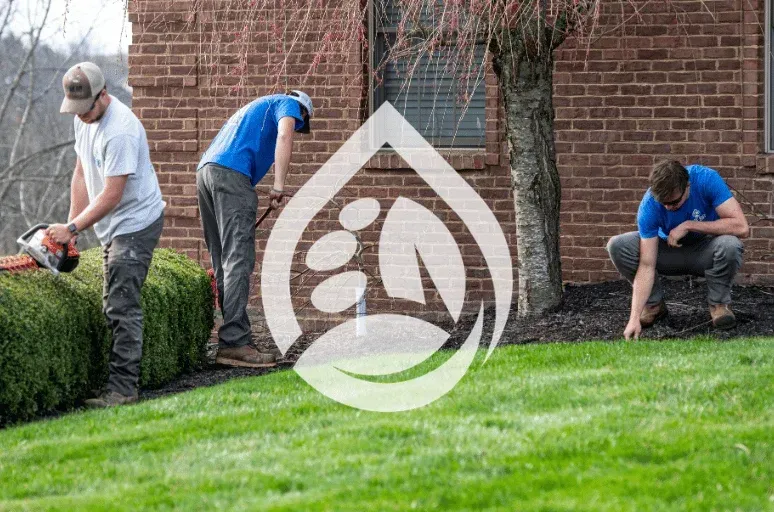 yard cleanup services in richmond ky