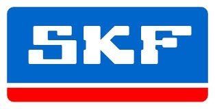 cuscinetti skf