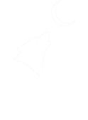 Faint outline of a triangle and a circle on a white background