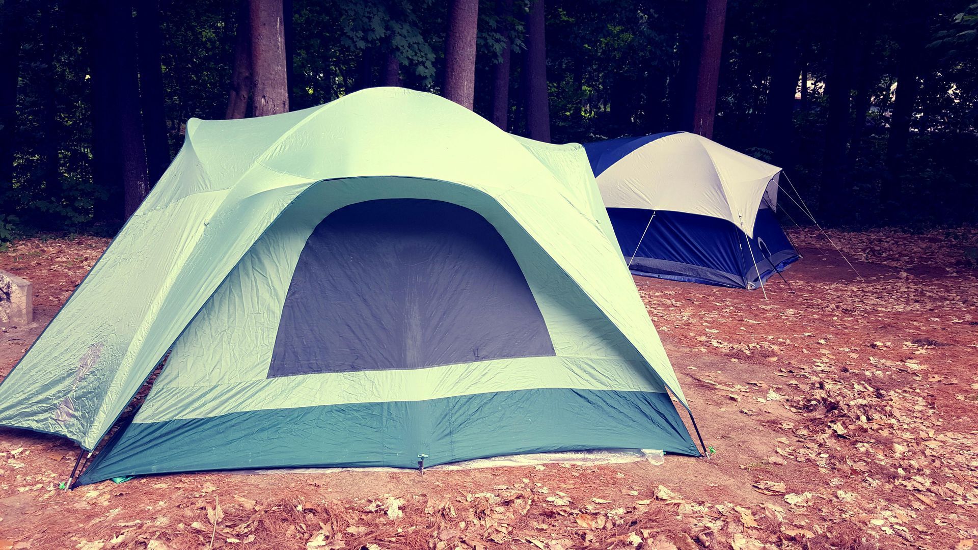 Two tents are sitting on the ground in the woods
