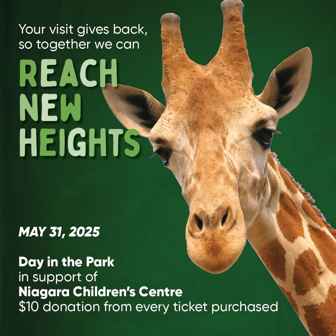 niagara childrens centre day in park