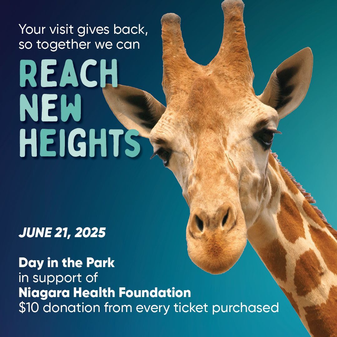 niagara heath centre day in park
