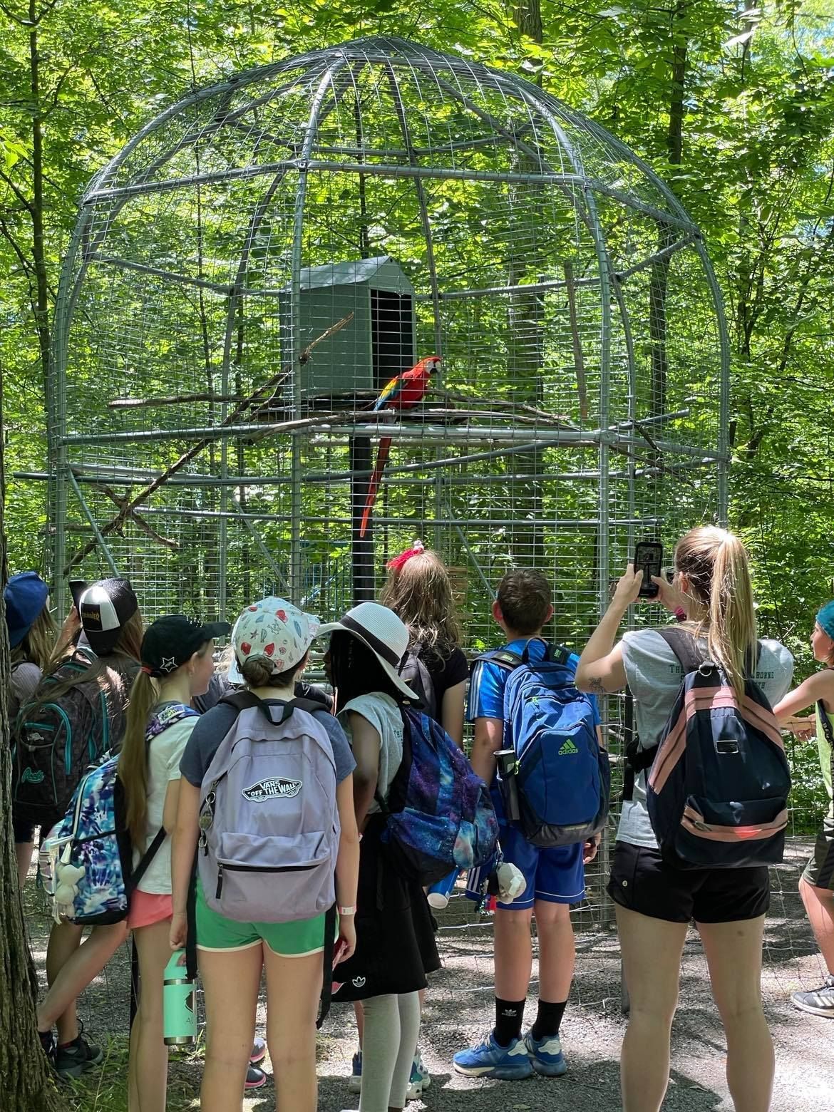 group of kids taking pictures and admiring parrot at niagara falls zoo attraction