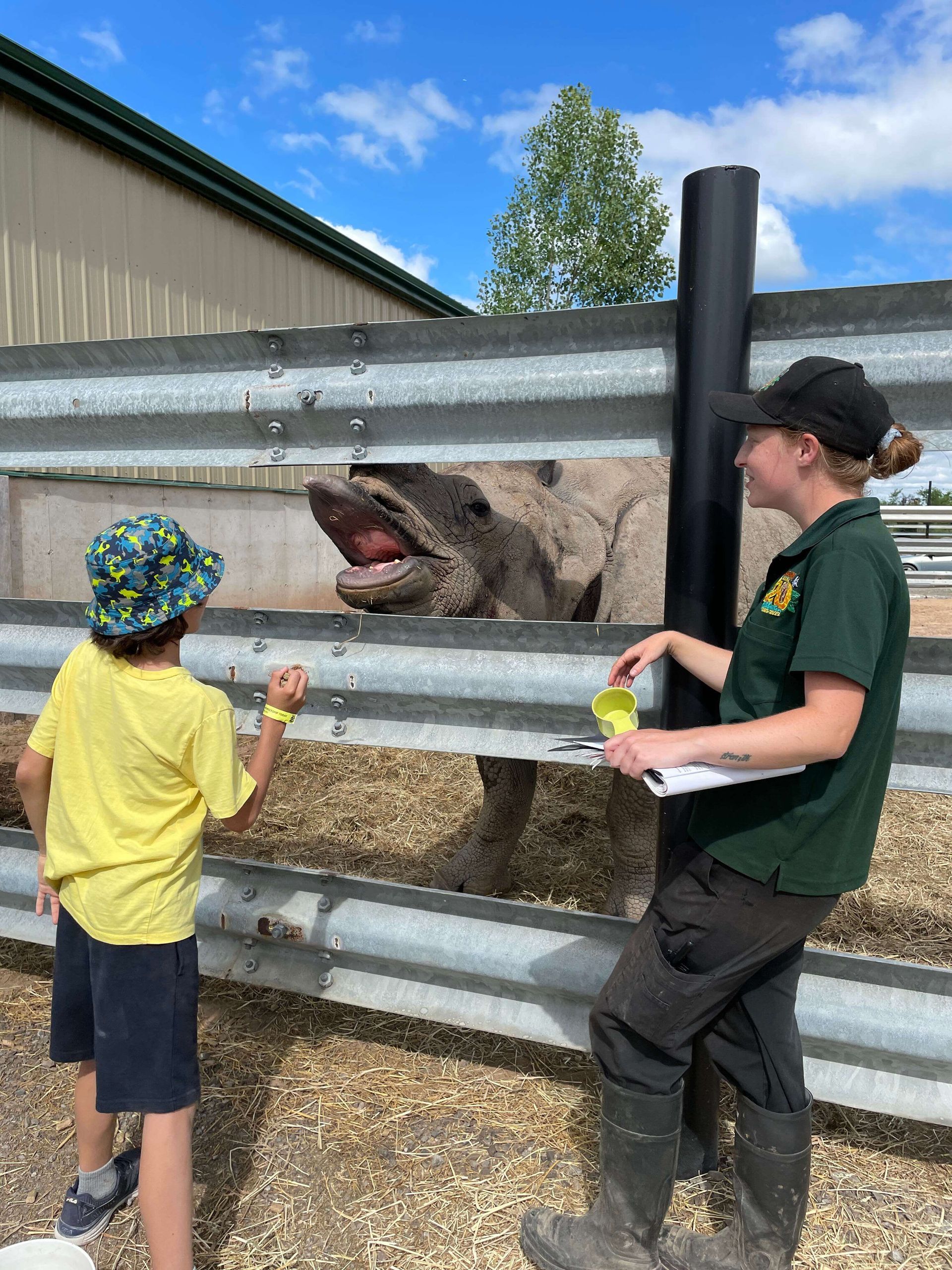behind the scenes rhino at safari niagara