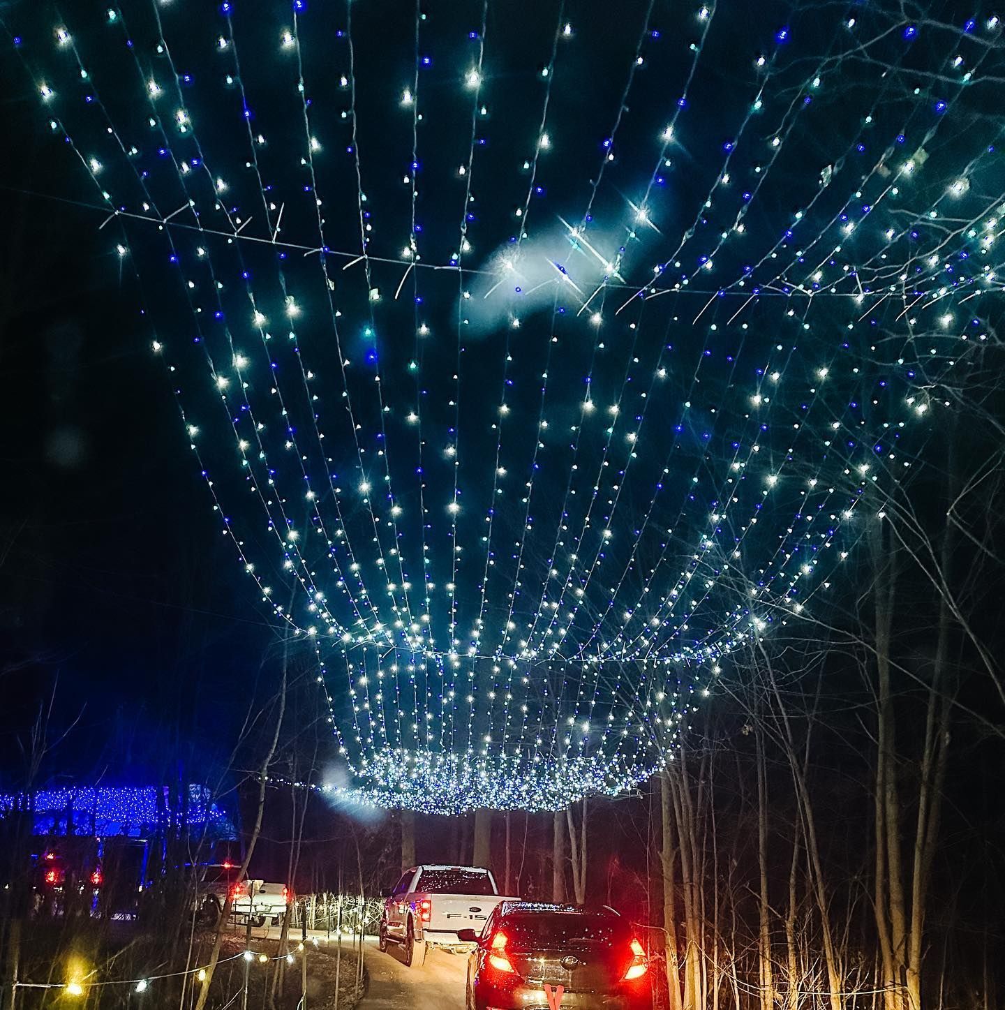 safari lights display at a niagara falls zoo attraction