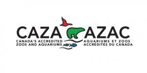 caza logo