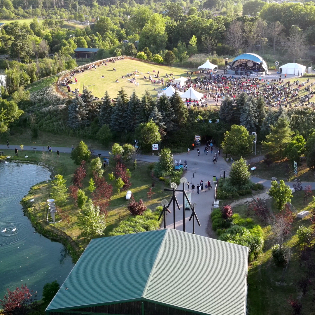 croud of people gathering for safari rocks concert