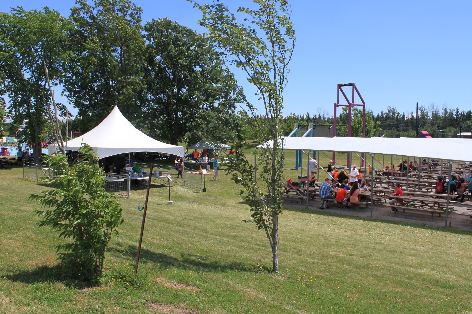 corporate picnic at safari niagara