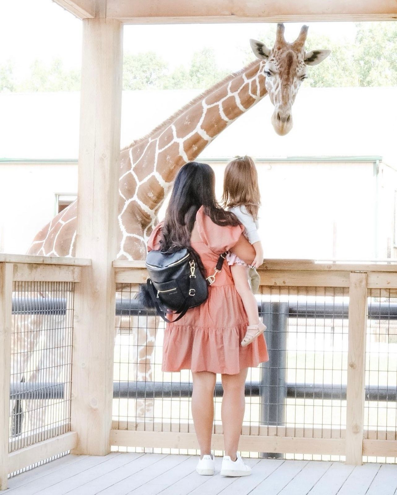 Mother's Day mom with child feeding giraffe