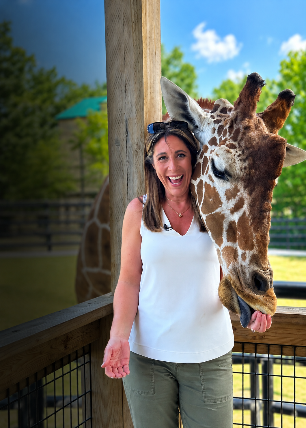 ultimate-animal-experience