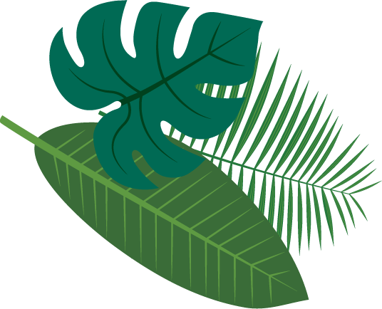leaf graphic