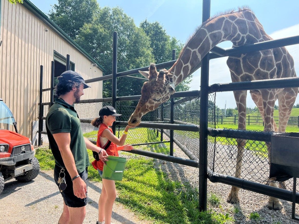 a boy and a girl are feeding a giraffe at a