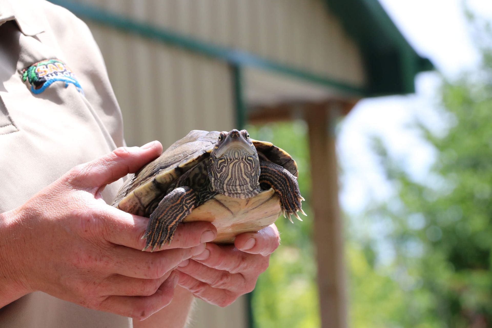 keeper holding turtle