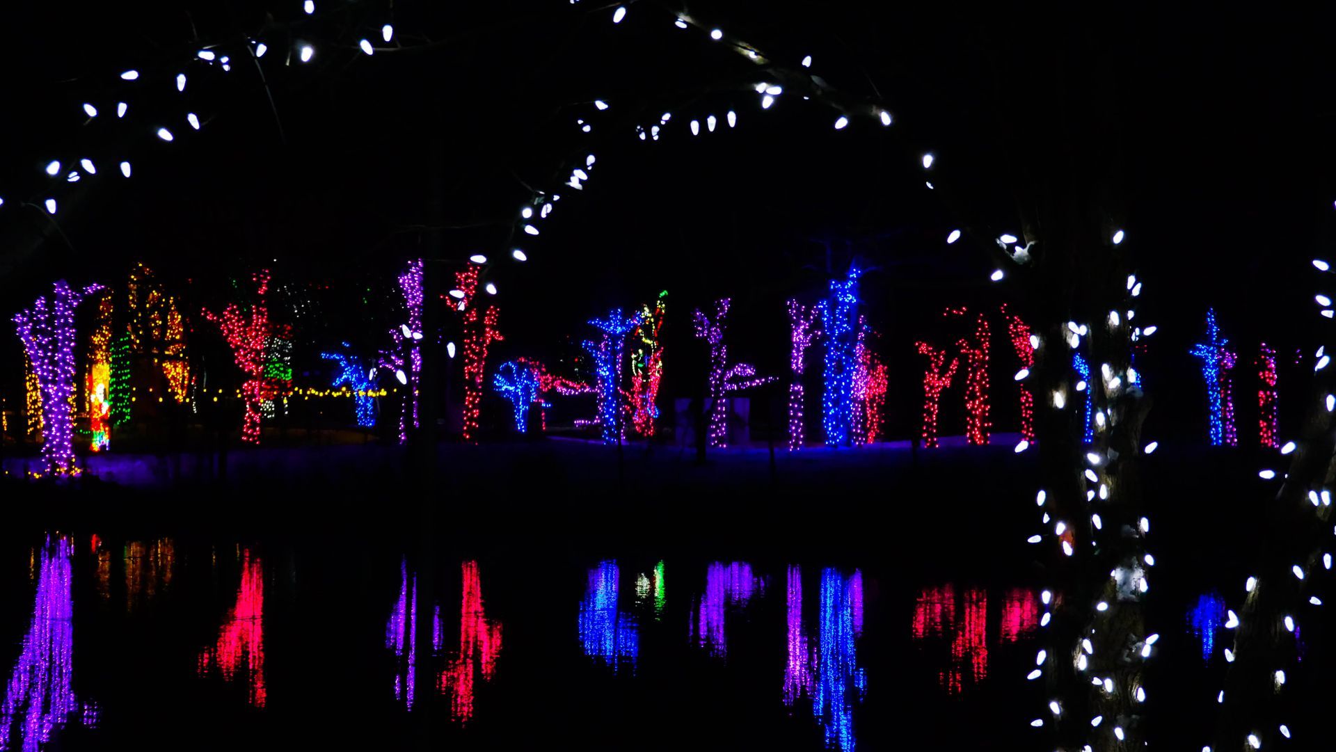 safari lights display at a niagara falls zoo attraction