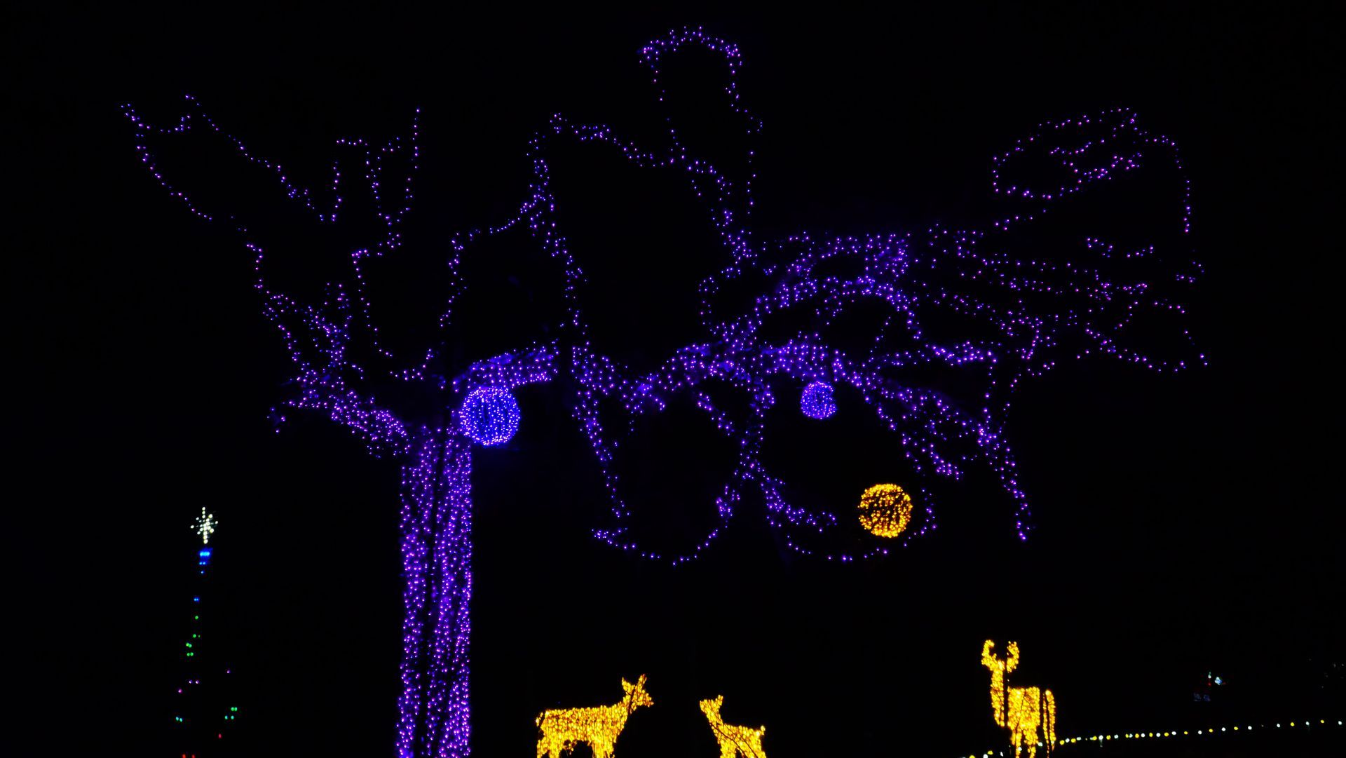 safari lights display at a niagara falls zoo attraction