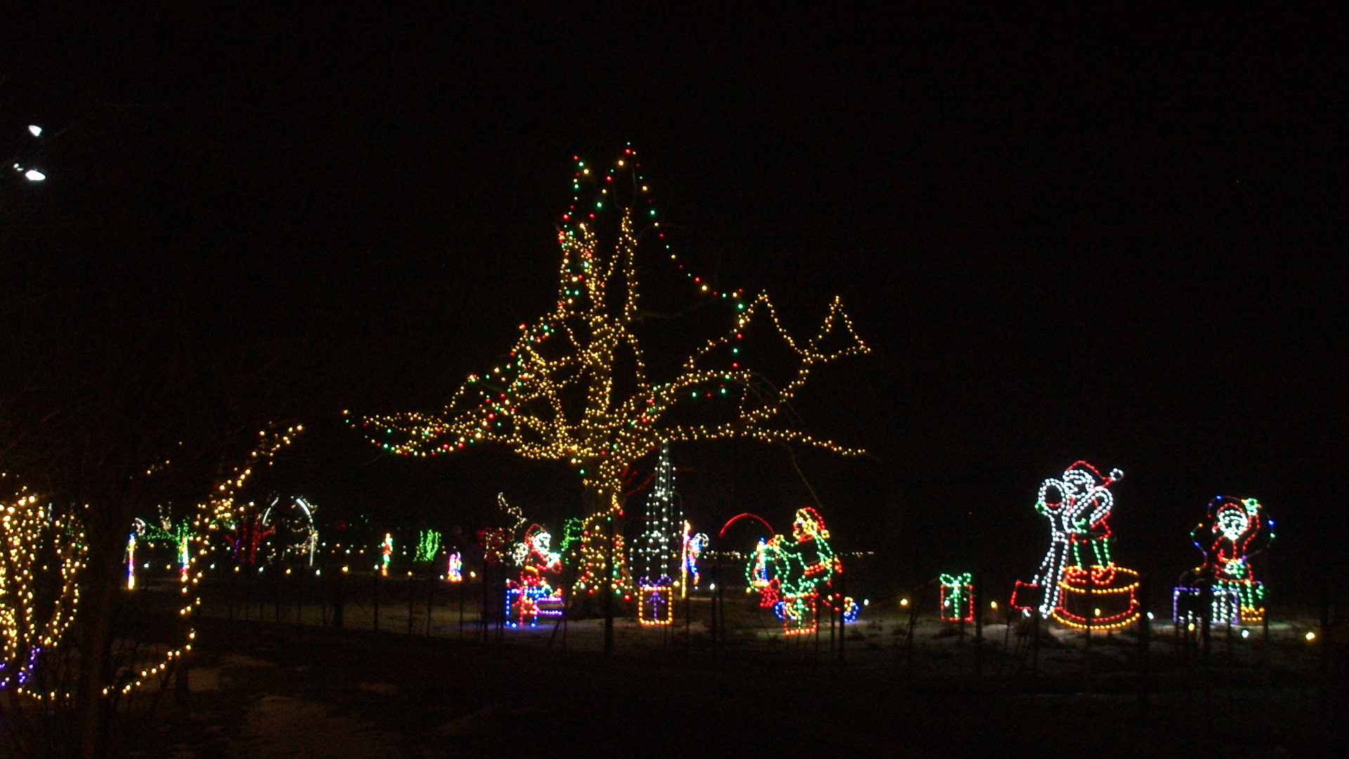 safari lights display showing niagara zoo activities