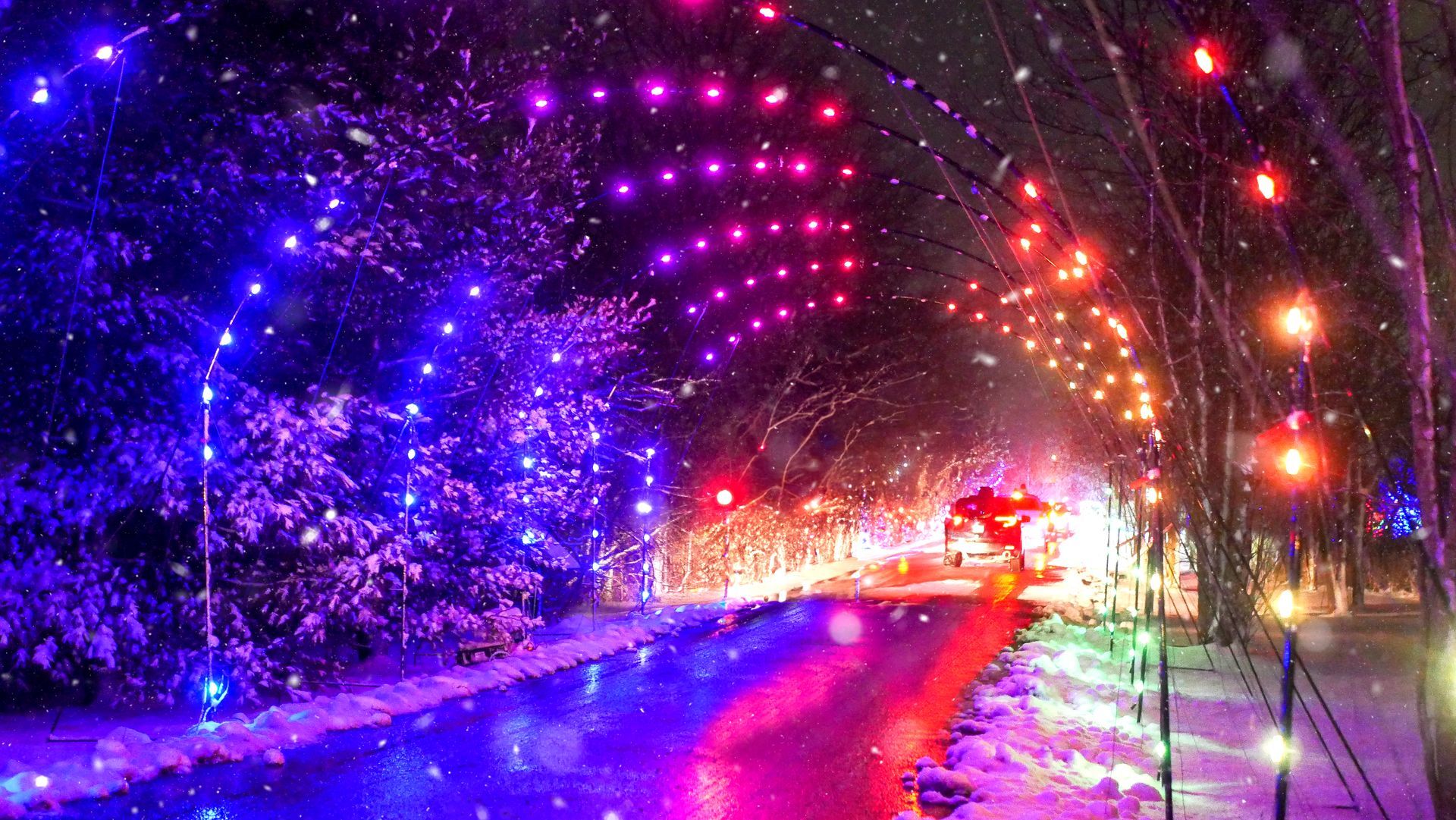 safari lights display at a niagara falls zoo attraction