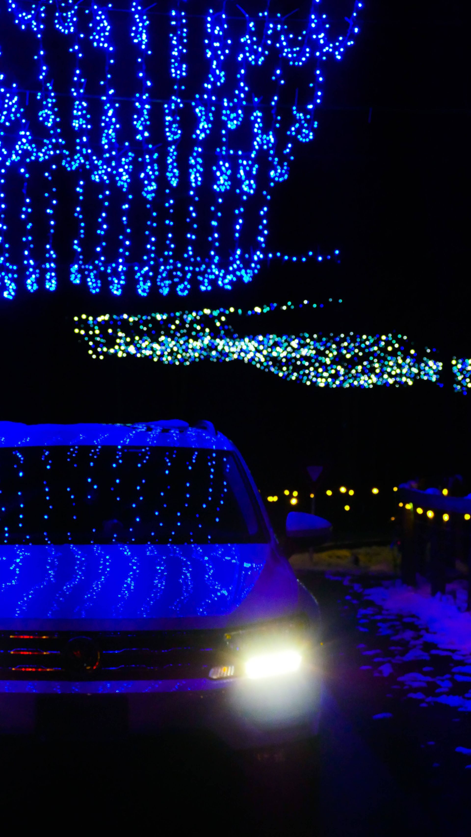 Safari Lights