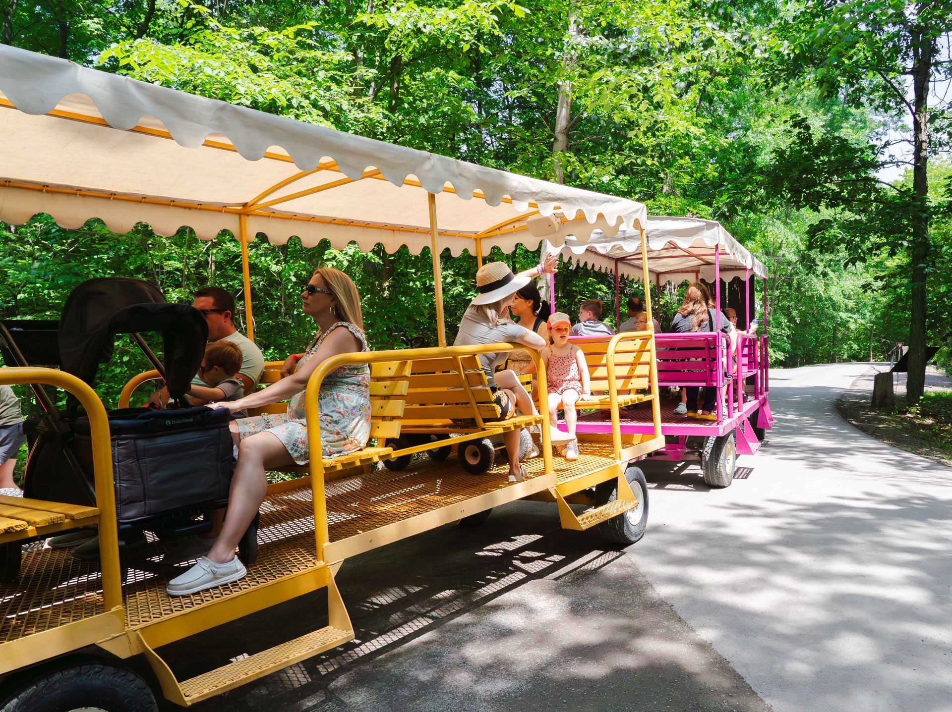 a safari niagara tram at a niagara falls zoo attraction
