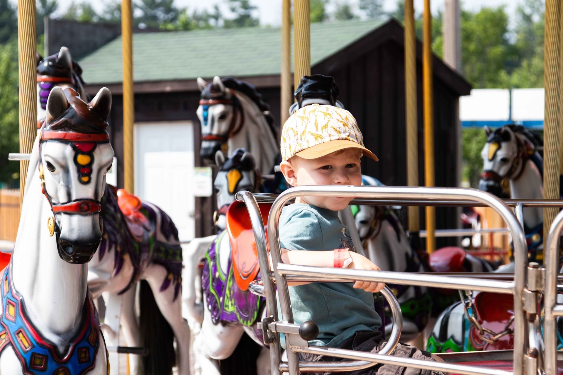 a little boy is riding a merry go round at safari niagara, a niagara falls attraction