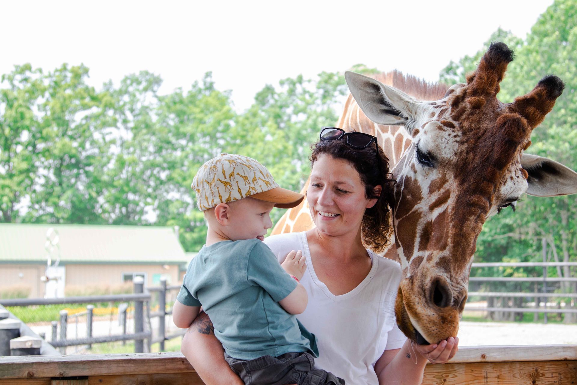 a woman is holding a child and feeding a giraffe at a family-friendly zoo niagara