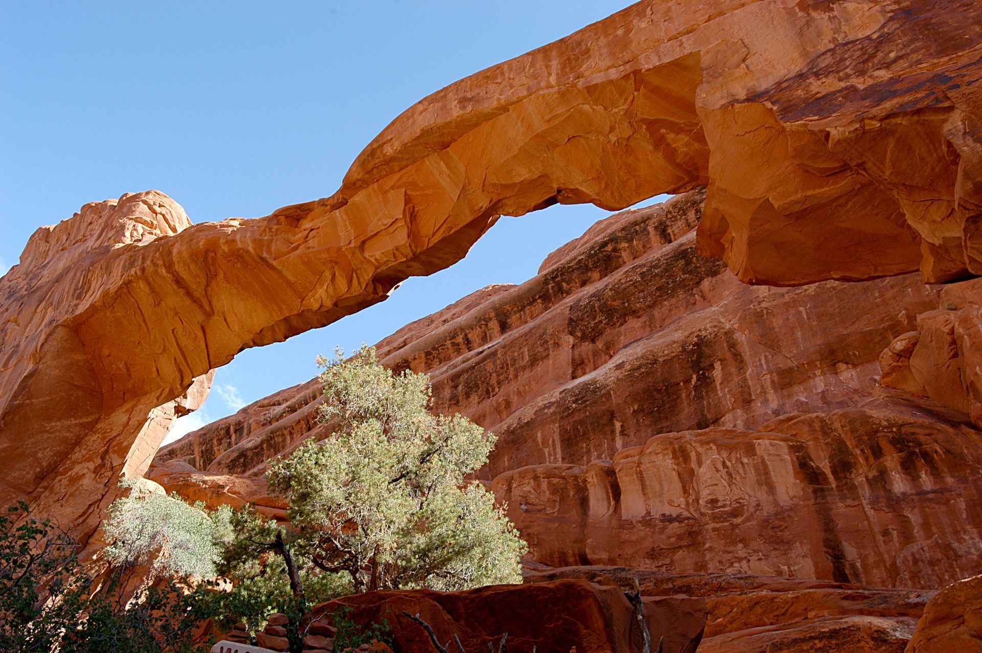 Wall Arch is shown from underneath with blue sky on either side.
