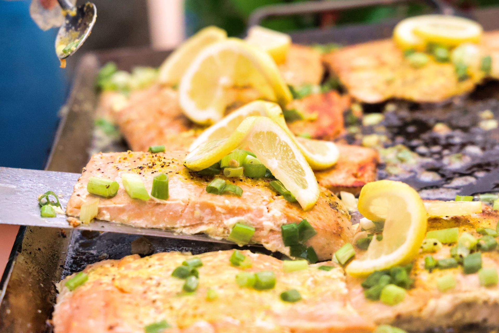 Grilled salmon fillets topped with lemon slices and green onions.