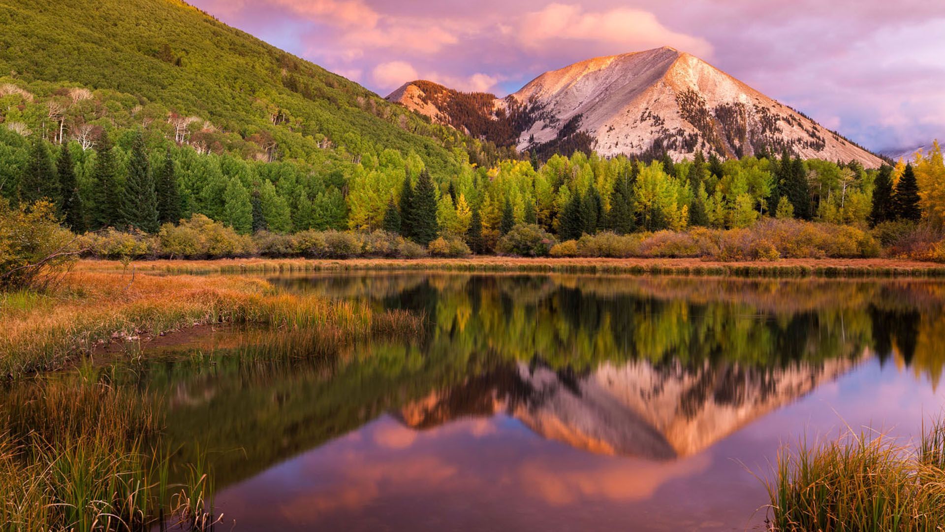 Mountains reflected in a lake, with green trees, golden marsh, and a colorful sunset.