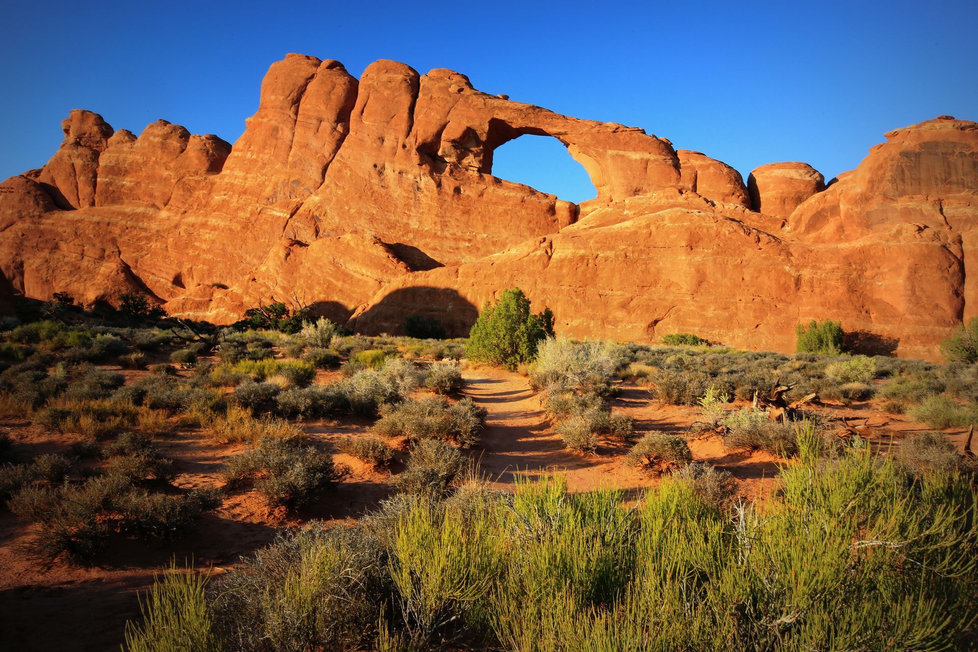 Red rock arch in desert landscape; blue sky, sparse vegetation, dirt path.