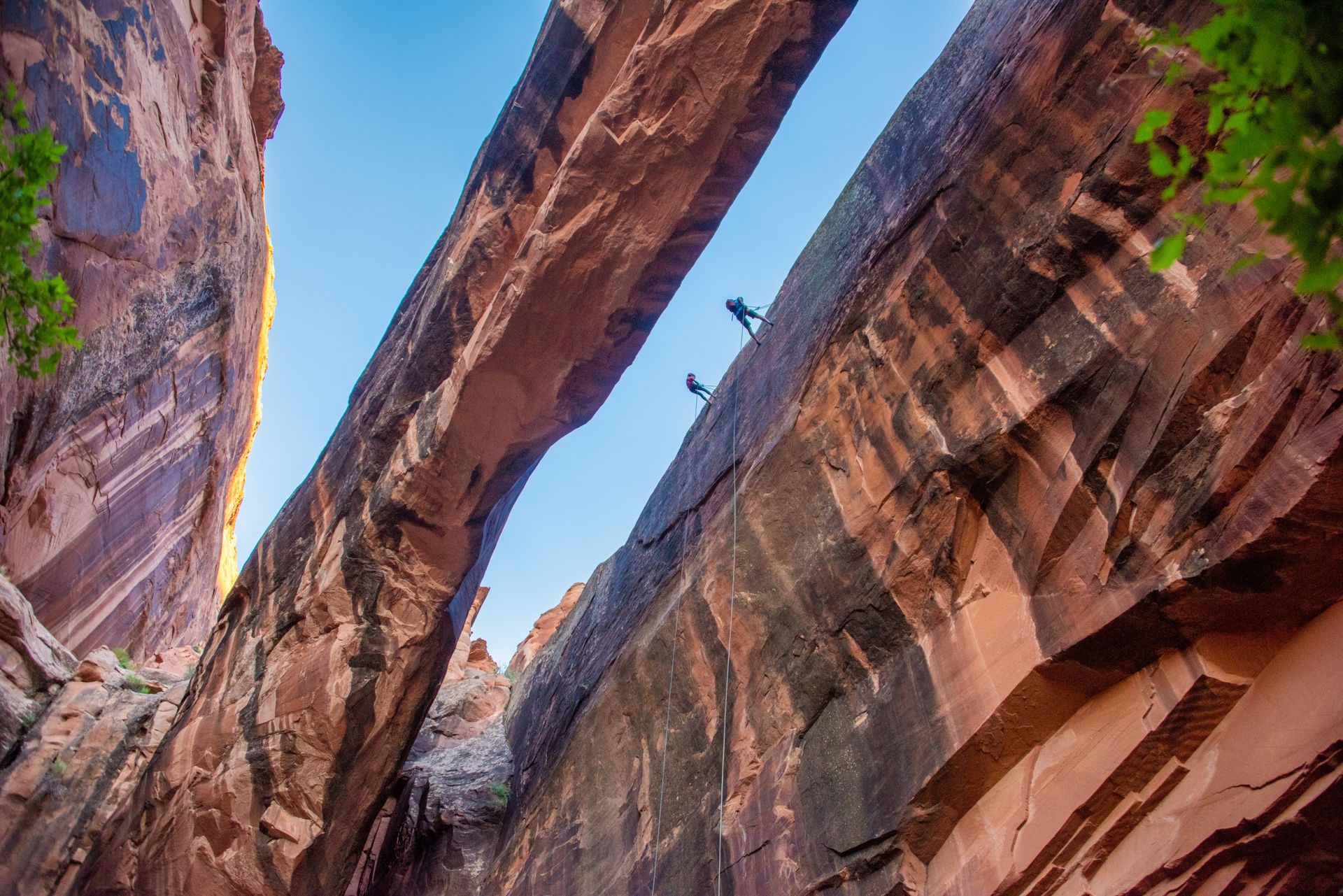 Two people rapelling side by side from the top of Morning Glory Arch with a view looking up from the ground.