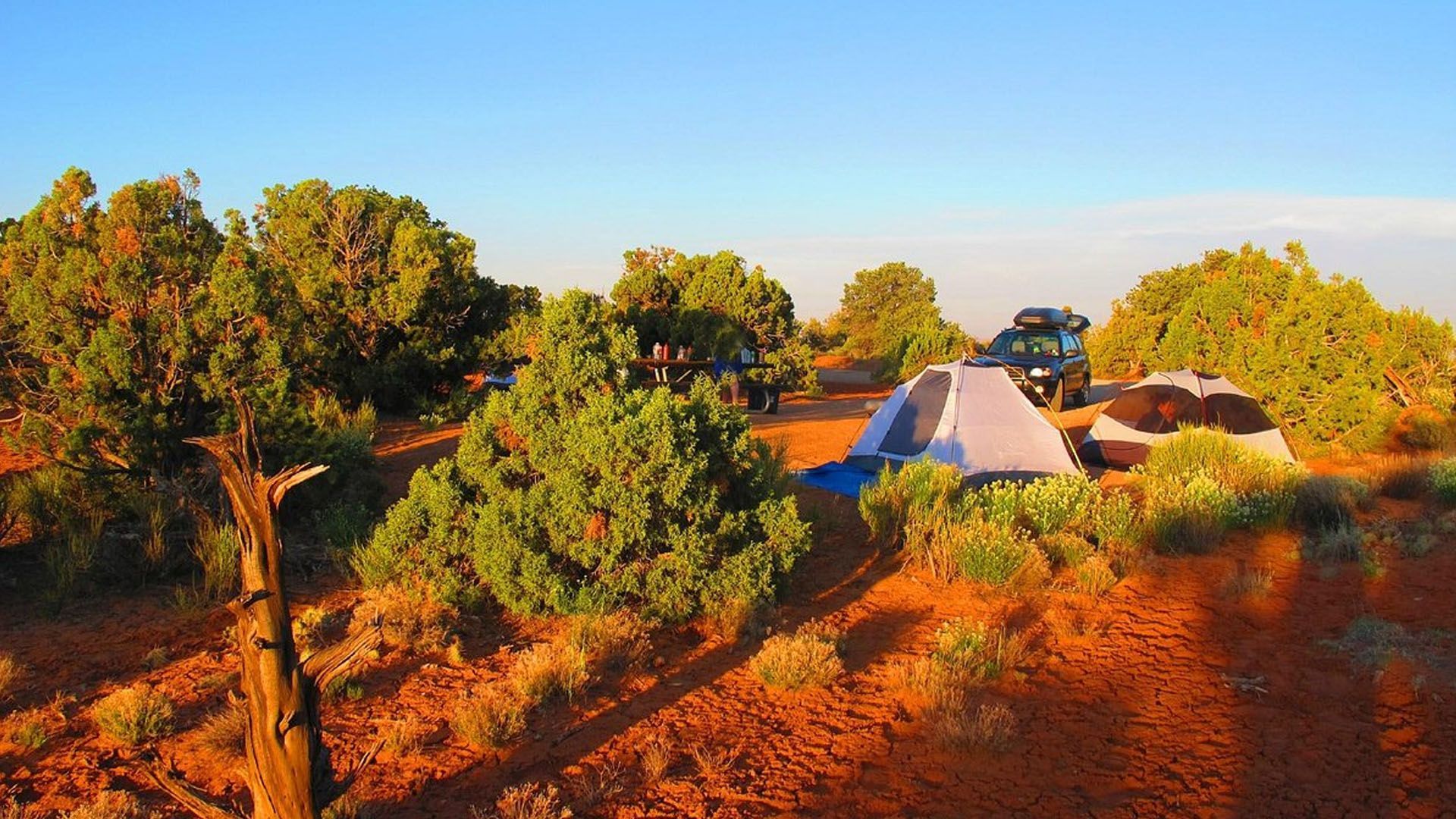 Tent and vehicle surrounded by orange sand and juniper trees.