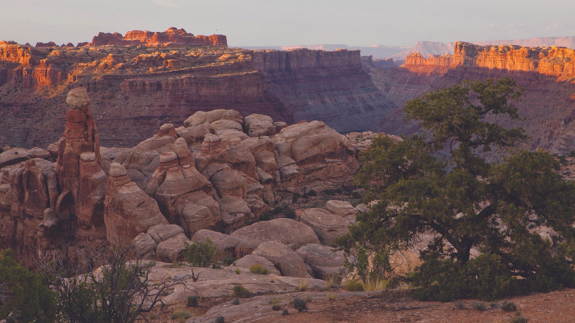 Sunlit canyon with layered rock cliffs, boulders, and a tree in the foreground at dusk