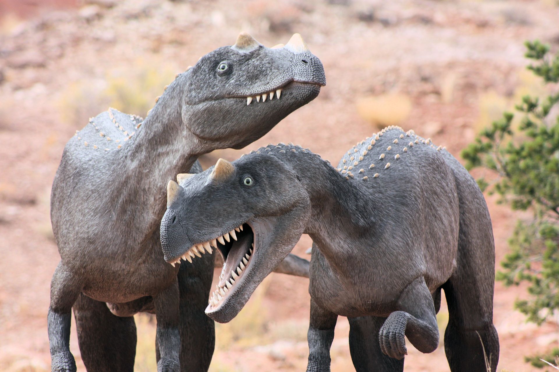 Two life size dinosaur replicas outside at the dinosaur park and museum.